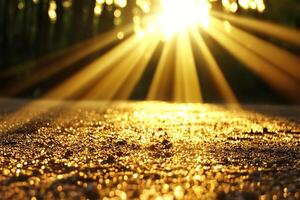 Sunlight shining through a tree in the forest photo