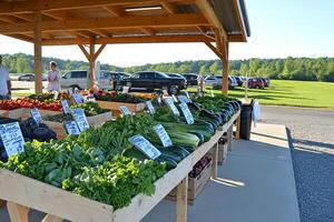 A wooden table with vegetables photo