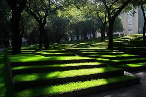 A grassy area with steps and trees photo