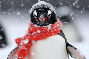 A penguin wearing a red scarf in the snow photo