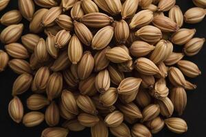 A pile of barley seeds on a black background photo