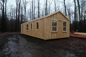 A small cabin in the woods with a tree in the background photo