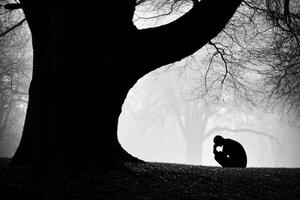 A man sitting in the middle of a forest in the fog photo