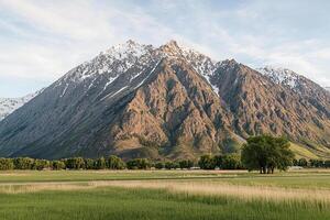 A grassy field with a mountain in the background photo