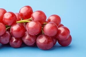 A bunch of red grapes on a blue background photo