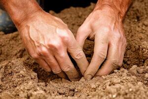 A man is digging into the ground with his hands photo