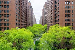 A view of a city street with tall buildings and trees photo