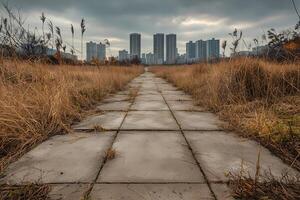 Concrete path leading to urban skyline through overgrown field photo
