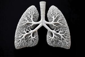 White lungs model showing bronchial tree on black background photo