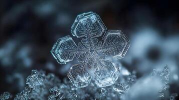 Intricate snowflake crystal showing its beautiful and delicate structure photo
