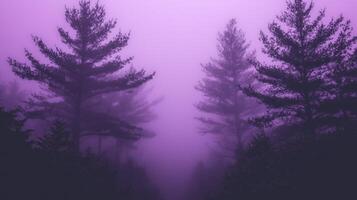 Purple foggy forest with trees in the background photo