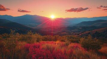 The sun is setting over a mountain range with flowers photo