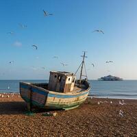 A boat on the beach with seagulls flying around it photo