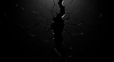 A broken tree with a light shining through it photo