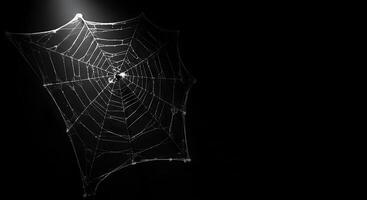 A spider web is shown in the dark photo