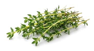 A bunch of fresh herbs on a white background photo