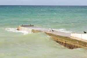 Breakwater structure in sea water coastal area to protect against tides, currents, waves, and storm surges with seagulls and birds photo