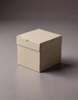 A small box sitting on a table with a lid photo