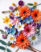 Colorful flowers arranged in a circle on a white surface photo