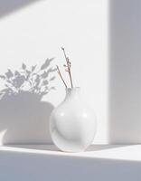 Shiny Egg Pot with Gentle Branch Shadows photo