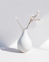 Neutral Light Pottery with Soft Floral Shadow photo
