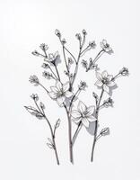 A drawing of a branch with flowers on it photo