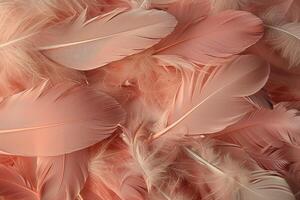 Close-up view of numerous soft, delicate pink feathers. photo