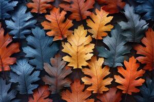 Autumnal oak leaves arranged in a colorful design. photo