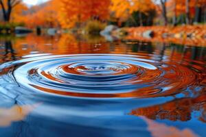 Autumnal ripples on a serene pond surface. photo