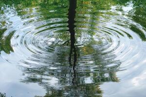 Rippled water reflecting a serene treetop. photo