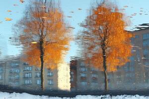 Autumnal reflections of trees in a puddle on a wintry day. photo