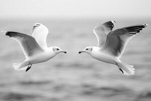Two seagulls soar gracefully in flight over the ocean water photo