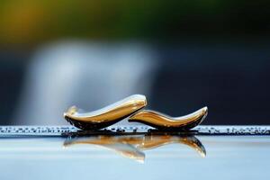 Two decorative golden objects resting on a reflective surface photo