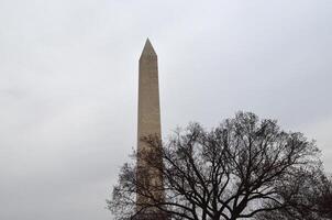 The Washington Monument with a Tree in the Foreground photo
