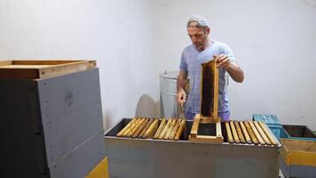 Bee master harvesting honey indoors. Male apiarist preparing frames with honeycombs before pumping honey on a farm. video
