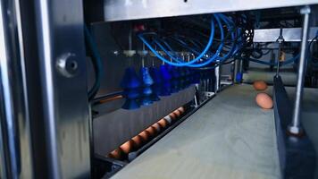 Machine part takes eggs from conveyor in food factory. Work of industrial equipment on a chicken and eggs manufacturing. video