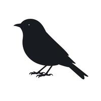 Simple Black Silhouette of a Bird Perched on a White Background vector