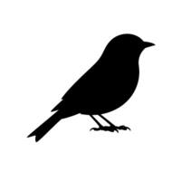Simple Black Silhouette of a Small Bird Perched on a White Backgrounds vector