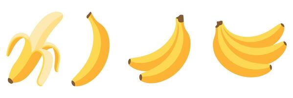 Collection of Yellow Bananas in Various Stages Peeled and Unpeeled Single and Bunch vector