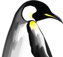 Calm and graceful emperor penguin in snow. . png