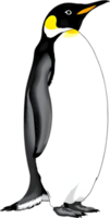 Iconic emperor bird with graceful penguin look. . png