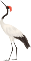 Minimal art composition features crane in graceful ink motion. . png