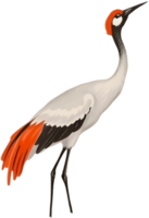 Zen composition with crane featured in simple brush art. . png
