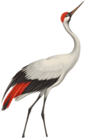 Upward gazing bird evokes harmony in soft ink painting. . png