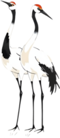 Flowing sumi-e brush painting of a serene white crane. . png