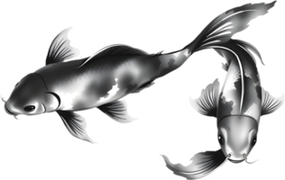 Beautiful koi artwork in fluid brush style with minimal composition. . png