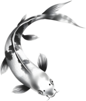 Soft ink strokes create elegant koi image on white background. . png