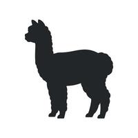 Silhouette of a Fluffy Alpaca Standing Sideways on White Background vector