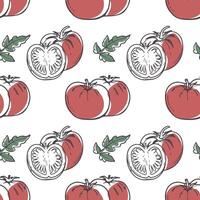 Tomatoes seamless pattern. Contour of ripe juicy hand drawn tomatoes on a white background. vector