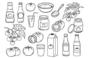 Various tomatoes and tomato products set. Tomato juice, fresh tomatoes, ketchup, tomato paste and ingredients. Hand drawn sketch illustration. vector